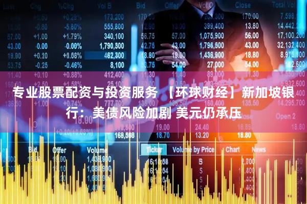 专业股票配资与投资服务 【环球财经】新加坡银行：美债风险加剧 美元仍承压