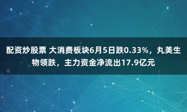 配资炒股票 大消费板块6月5日跌0.33%,丸美生物领跌,主力资金净流出17.9亿元