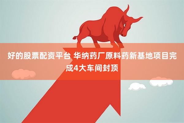 好的股票配资平台 华纳药厂原料药新基地项目完成4大车间封顶
