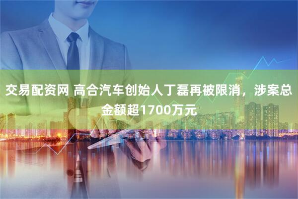交易配资网 高合汽车创始人丁磊再被限消,涉案总金额超1700万元