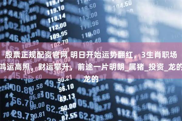 股票正规配资官网 明日开始运势翻红，3生肖职场鸿运高照，财运攀升，前途一片明朗_属猪_投资_龙的