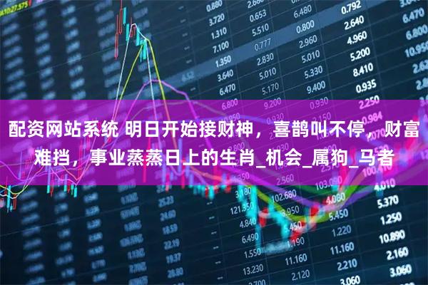 配资网站系统 明日开始接财神，喜鹊叫不停，财富难挡，事业蒸蒸日上的生肖_机会_属狗_马者